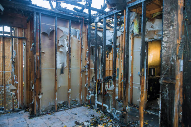 Professional Fire Damage Removal technician working in Omaha, NE
